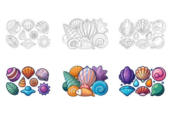 Collection of Seashells