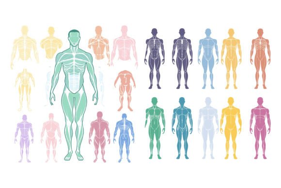 Illustration of the Coloured Male Bodies: A Strategic Look Inside Our Special AI EPS Collections