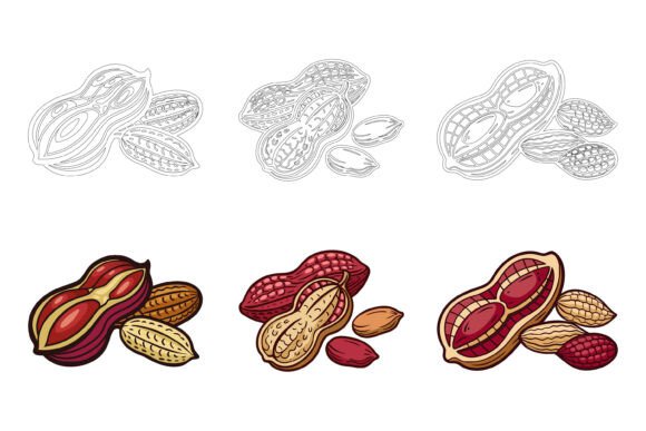 Peanut Nuts: Premium AI EPS Illustrations for Every Project