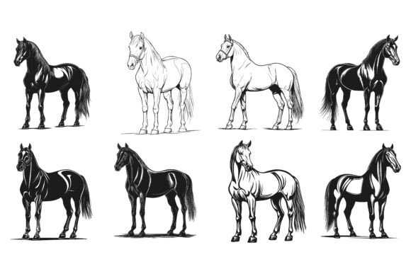 Sketch of a Horses on a White Background
